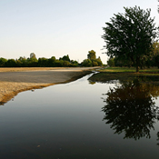 Irrigation water near Bakersfield, Calif. 