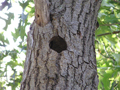 Larger view