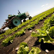 Holthouse Farms 