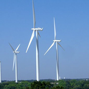 Wind turbines at the Horse Hollow wind farm in Tex 