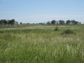 Prairie