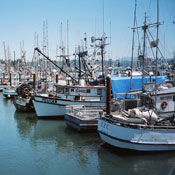 Ships sit in port 