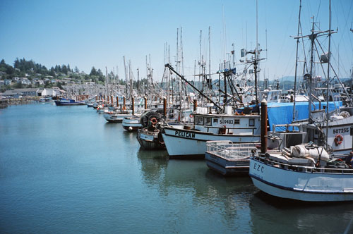 
                Salmon boats sit idle at Oregon's biggest commercial fishing port.
                                    (Mitchell Hartman)
                                