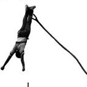Bungee jumper from the cover of 