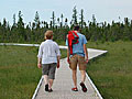 Bog walkers