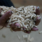sawdust fuel pellets 