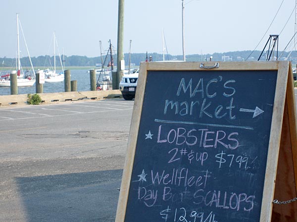 
                Mac's is a "clam shack" but it's also a fish market. A lot of its fare is caught in the bay behind the store.
                                    (Sean Cole / Marketplace)
                                