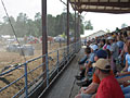 Derby crowd