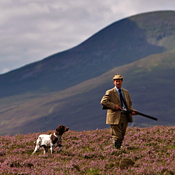 Gamekeepers watch for grouse in Scotland 