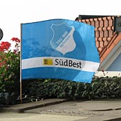 A team flag flies in a home's back yard. 