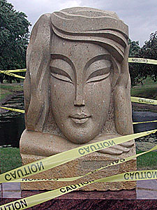 Larger view