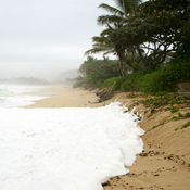 The North Shore of the Oahu coast 