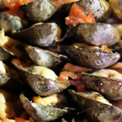 Oysters 