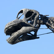 Brontosaurus 
