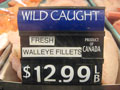 Canadian Walleye