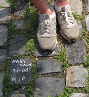 Larger view