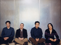 The Magnetic Fields