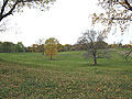 Green space or housing sites?