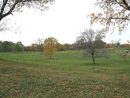 Larger view