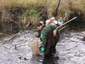 Larger view