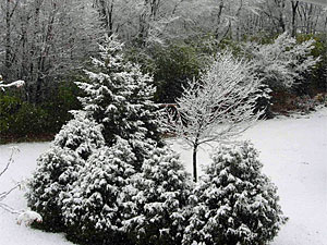 Larger view