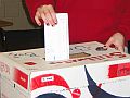Kids vote