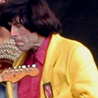 Beatle Bob