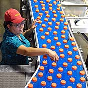 A woman works on the line at the Gatorade plant 
