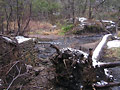 Larger view