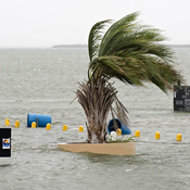 Hurricane Ike floods a park in Texas City, Texas 