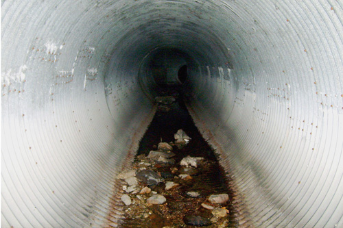 
                    A drain, located under a large complex of parking lots and strip malls in Columbia, Mo.
                                            (J. Tarr)
                                        
