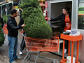 Christmas tree shopping