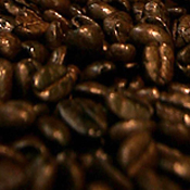 Roasted coffee beans 