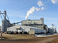 South Dakota cellulosic plant