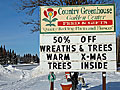Trees for sale