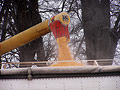 Loading corn