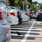 The back bumpers of Toyota vehicles 