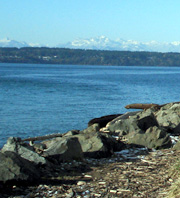 Larger view