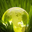 A green world