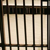 Prison bars 