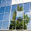 Green tree reflected in business building window