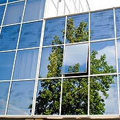 Green tree reflected in business building window 