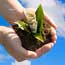 Green finance