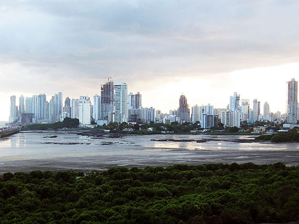 
                A view of Panama City's skyline
                                    (Karen Weise)
                                