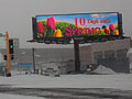 Spring on the way