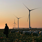 A wind turbine in Beijing, China 
