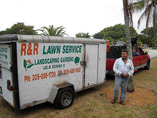 mexican lawn care