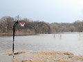 Lonely hoop