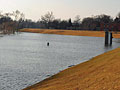 Island Park levee