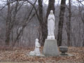 Larger view
